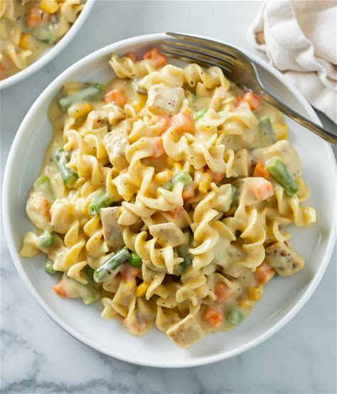 chicken-and-noodles-the-cozy-cook image