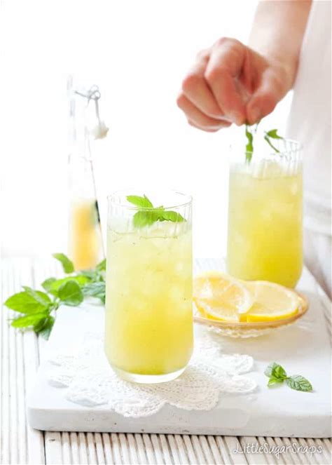 apple-lemon-mint-fruit-cooler-little-sugar-snaps image