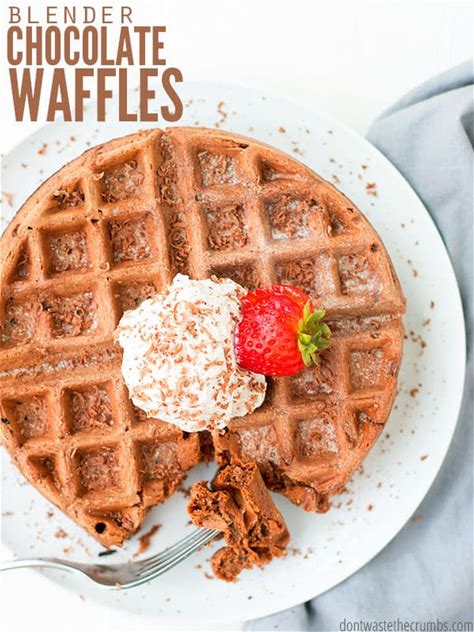 double-chocolate-blender-waffles-dont-waste-the image