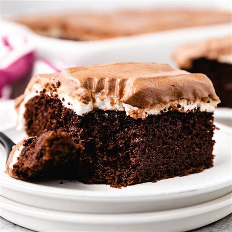 easy-mississippi-mud-cake-with-box-cake-berlys image