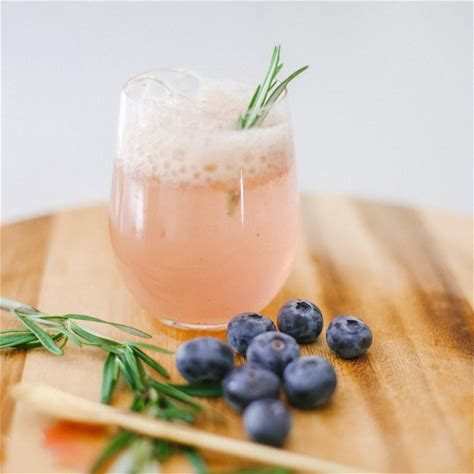 blueberry-mocktail-the-dizzy-cook image
