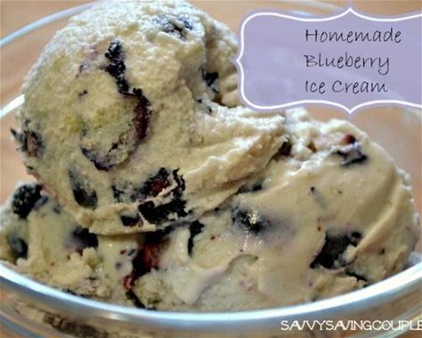 blueberry-ice-cream-in-the-kitchenaid-savvy-saving image