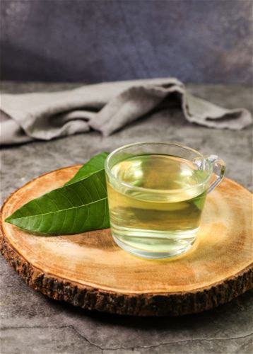 mango-leaf-tea-healthier-steps image