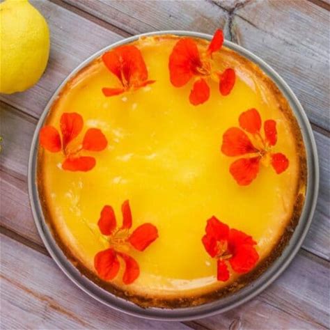 limoncello-cheesecake-with-a-tart-lemon-glaze image