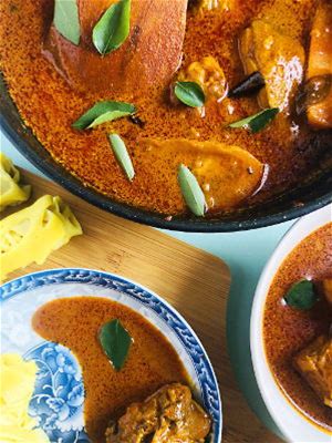 kari-ayam-malay-curry-chicken-southeast-asian image