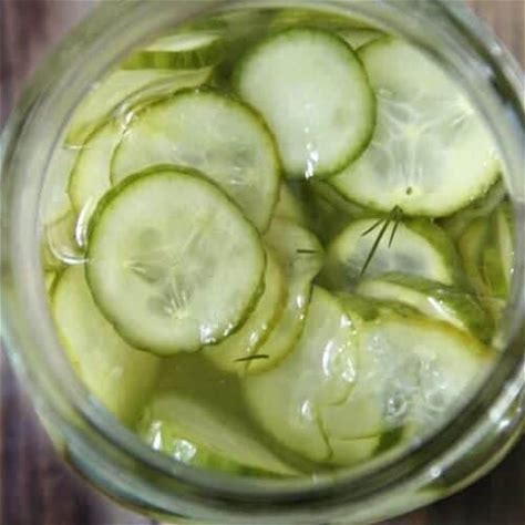 refrigerator-sweet-pickles-no-canning-snappy image