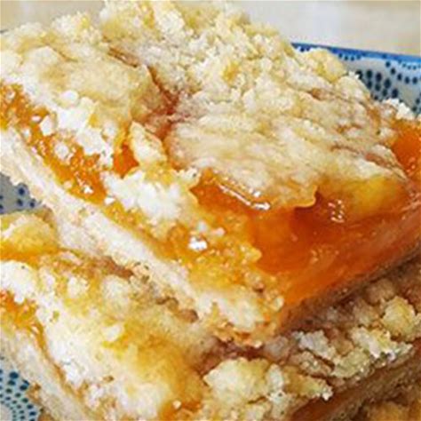 coconut-apricot-bars-its-time-to-get-deliciously-jammy image
