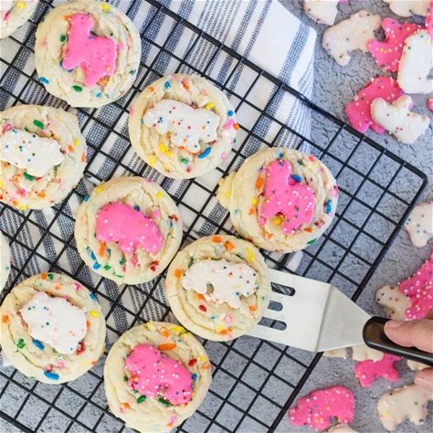 easy-to-make-circus-animal-sugar-cookies-devour image