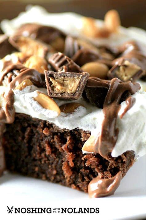 best-reeses-peanut-butter-chocolate-cake-noshing image