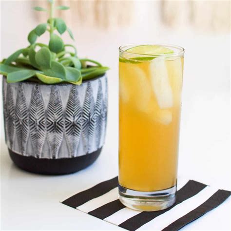 rum-and-ginger-beer-dark-and-stormy-drink image