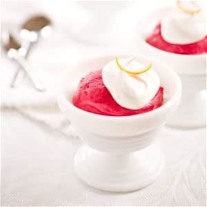 cranberry-raspberry-fools-americas-test-kitchen image