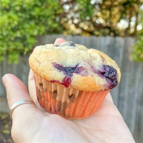 easy-vegan-blueberry-muffins-world-of-vegan image