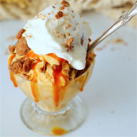 pumpkin-ice-cream-easy-no-churn-recipe-the image