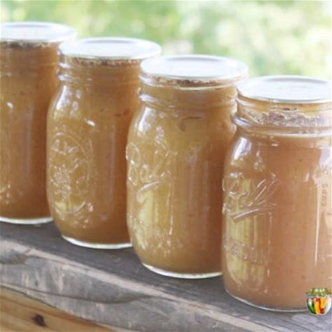canning-applesauce-it-doesnt-have-to-be-boring-or image