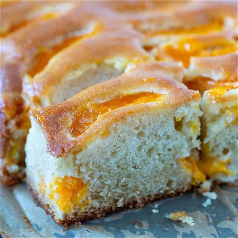 moist-apricot-cake-cake-with-fresh-apricots-veena image