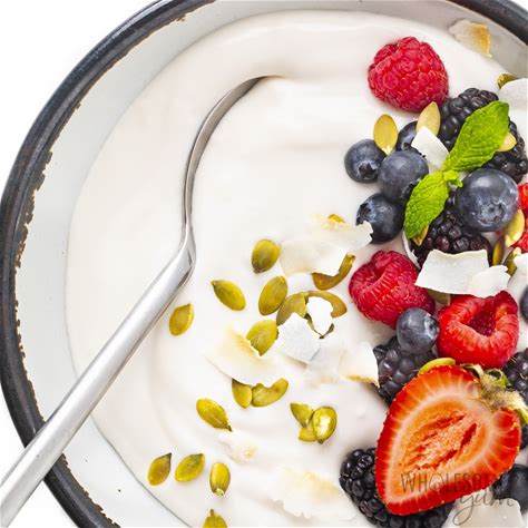 dairy-free-coconut-yogurt-recipe-wholesome-yum image