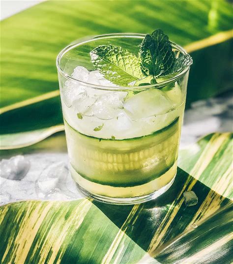 cucumber-mint-gimlet-a-cultivated-living image