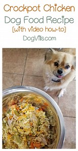 easy-crockpot-chicken-homemade-dog-food-recipe-with-video image