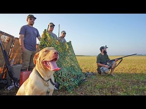 dove-huntin-with-the-boys-catch-clean-cook-grilled image