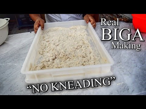 real-method-how-to-make-the-biga-no-knead image