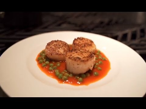 how-to-make-perfect-scallops-nick-stellinos-perfect image