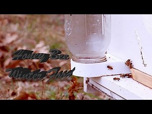 homemade-bee-food-overwintering-food-for image