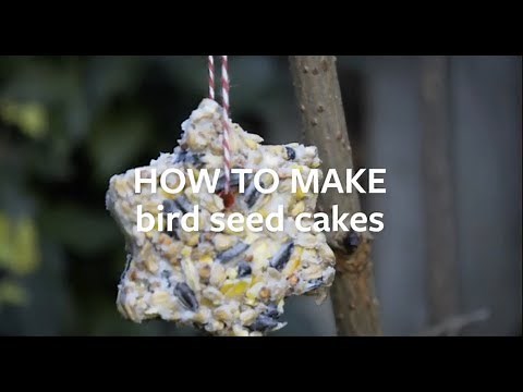 how-to-make-bird-seed-cakes-grow-at-home-youtube image
