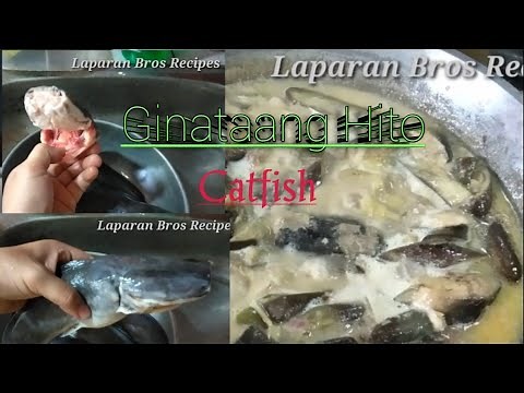 ginataang-hito-catfish-recipe-44-laparan-bros image