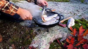 pan-roasted-trout-bruschetta-with-the-outdoors-chef image