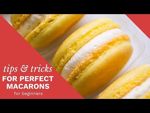 a-complete-guide-to-perfect-macarons-youtube image