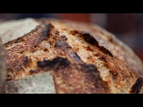the-worlds-easiest-sourdough-bread-artisan-no image