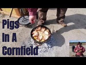 pigs-in-a-cornfield-youtube image